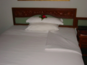DSC03251