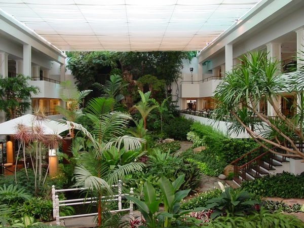 DSC03265