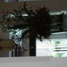 DSC03267
