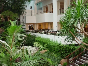 DSC03271