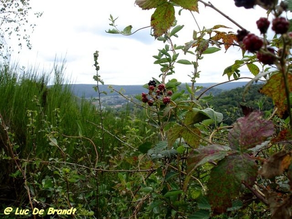 Ardennen Adeps wandeling Vaucelles