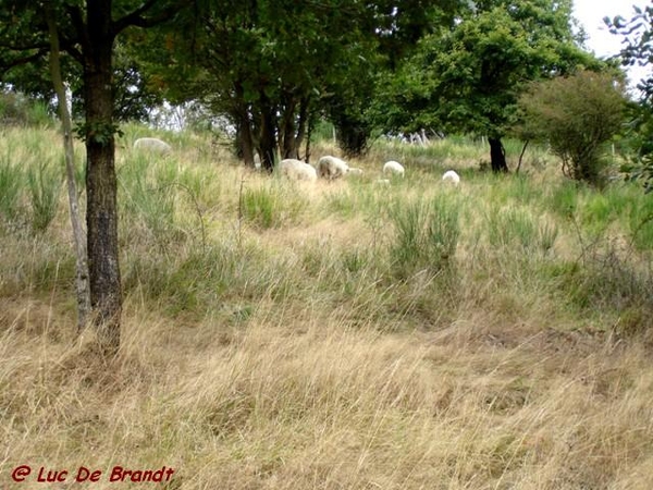 Ardennen Adeps wandeling Vaucelles