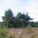 De Teut te Zonhoven