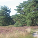 De Teut te Zonhoven