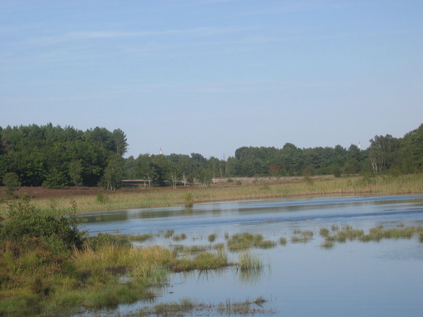 Teut; Zonhoven; vijver