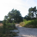 De Teut te Zonhoven