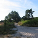 De Teut te Zonhoven