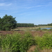 De Teut te Zonhoven
