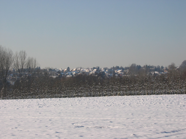 Hoeselt in de sneeuw