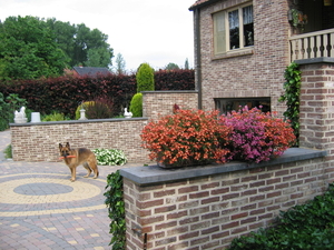 Chlo op een zomers plaatje, juli 2010