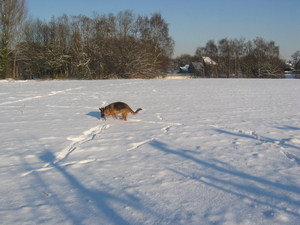 Chlo houdt van de sneeuw