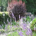 een beetje Provence in onze tuin, juli 2010