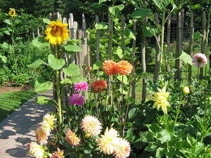 Hoe mooi kunnen bloemen zijn