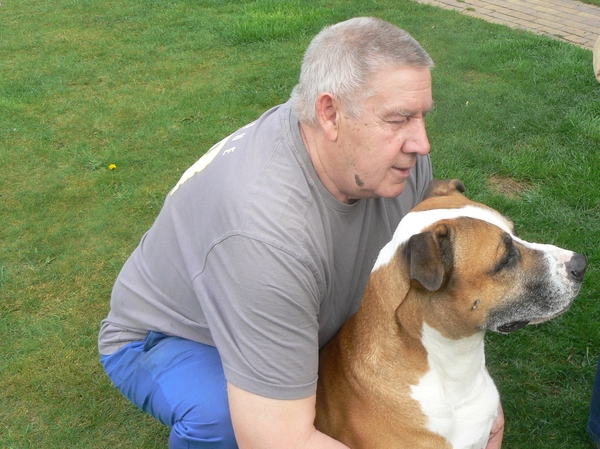 American Stafford, Huisdier, Hond, Leo, Baasje, Tuin