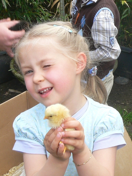 Laura, kleindochter, Pasen, Paaskuiken