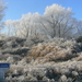 Winterpracht in de Moeren