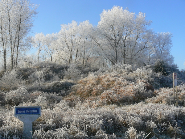 Winterpracht in de Moeren