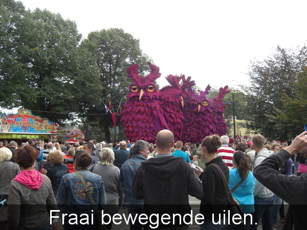 Hallo mijnheer de Uil.