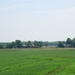 2006-07-03  BURCHT 102