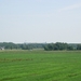 2006-07-03  BURCHT 103