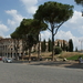 Colosseo 6
