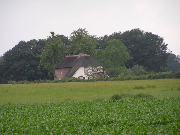 2006-07-03  BURCHT D 001