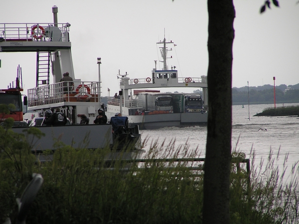 2006-07-03  BURCHT D 007