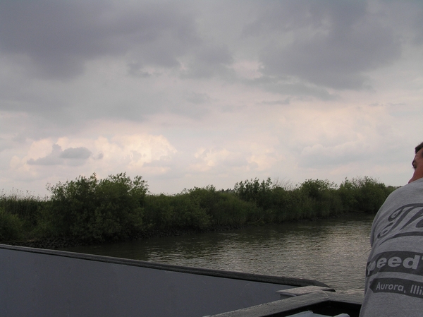 2006-07-03  BURCHT D 011