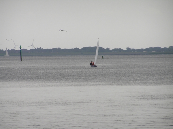 2006-07-03  BURCHT D 012
