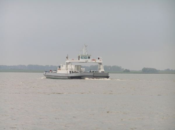 2006-07-03  BURCHT D 015