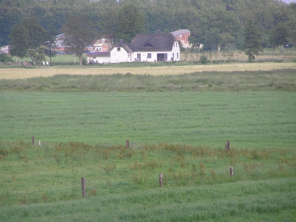 2006-07-03  BURCHT D 016