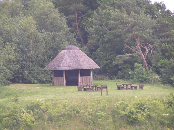 2006-07-03  BURCHT D 024