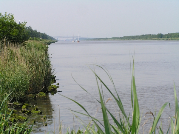 2006-07-03  BURCHT D 027