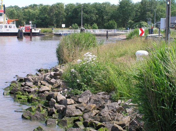2006-07-03  BURCHT D 029