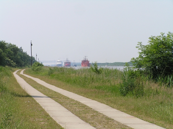 2006-07-03  BURCHT D 031