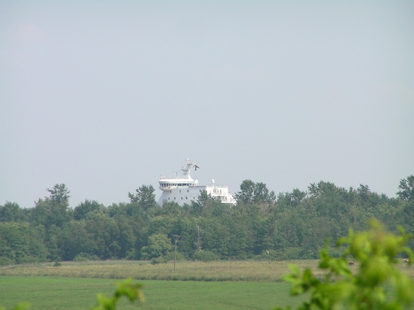 2006-07-03  BURCHT D 041