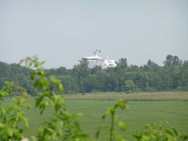 2006-07-03  BURCHT D 042