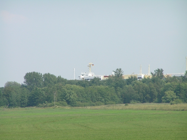 2006-07-03  BURCHT D 045