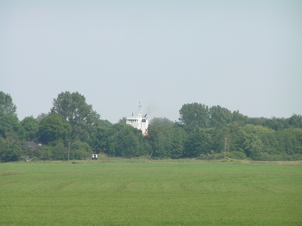 2006-07-03  BURCHT D 047