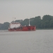 2006-07-03  BURCHT D 069