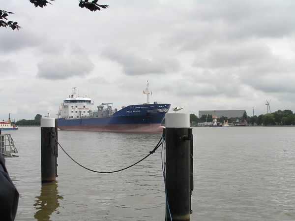 2006-07-03  BURCHT D 084