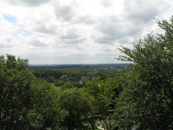 2006-07-03  BURCHT D 115