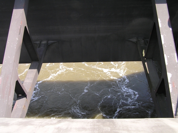 2006-07-03  BURCHT D 163