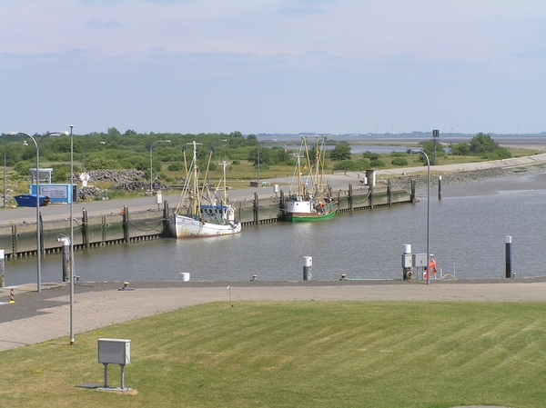 2006-07-03  BURCHT D 166