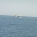 2006-07-03  BURCHT D 210