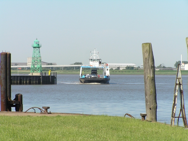 2006-07-03  BURCHT D 223