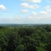 2006-07-03  BURCHT D 113