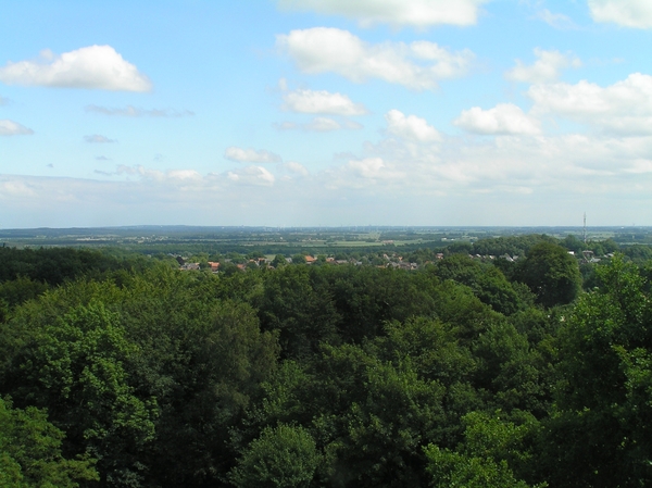 2006-07-03  BURCHT D 113