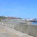 2006-07-03  BURCHT D 185