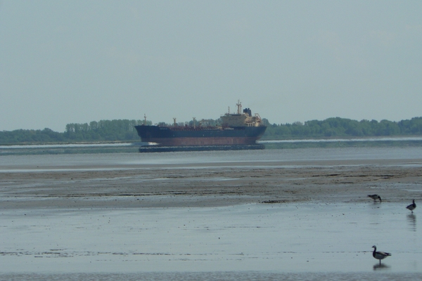 2008-05-024 BURG 2008 par1 057